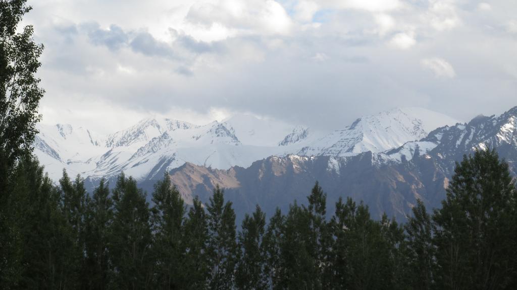 Streamlet Homestay Leh Extérieur photo